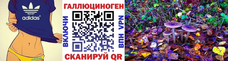 Псилоцибиновые грибы Psilocybine cubensis  OMG   Белгород  цены наркотик 